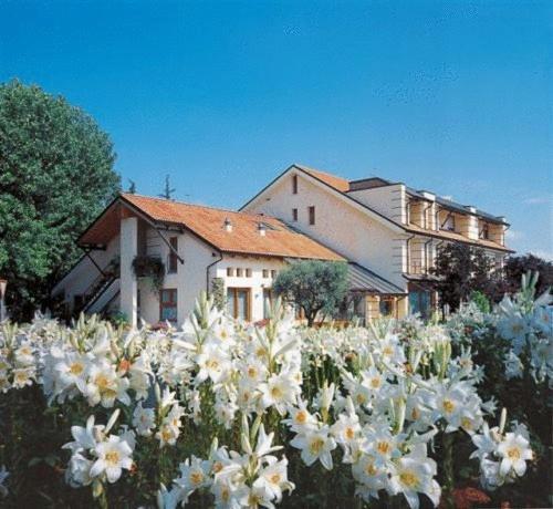 Ca' Delle Rose Hotel Кастелфранко Венето Екстериор снимка